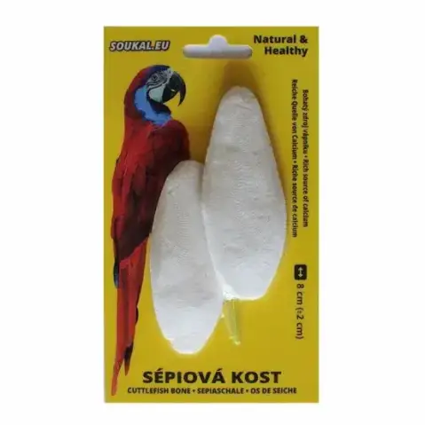 Sépiová kost na kartě cca 8 cm (2 ks)