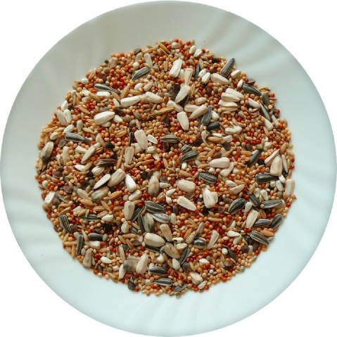 Avicentra papoušek střední 20kg profesional (speciál)