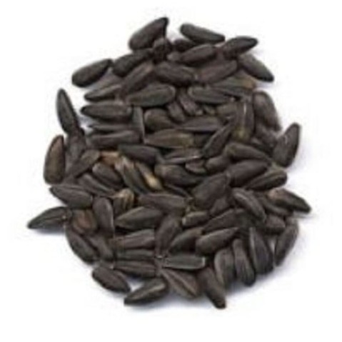 Slunečnice Avicentra černá 20kg/1ks