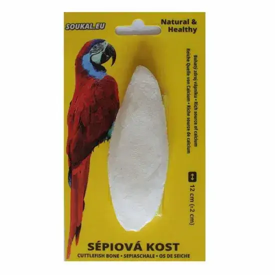 Sépiová kost na kartě cca 12 cm